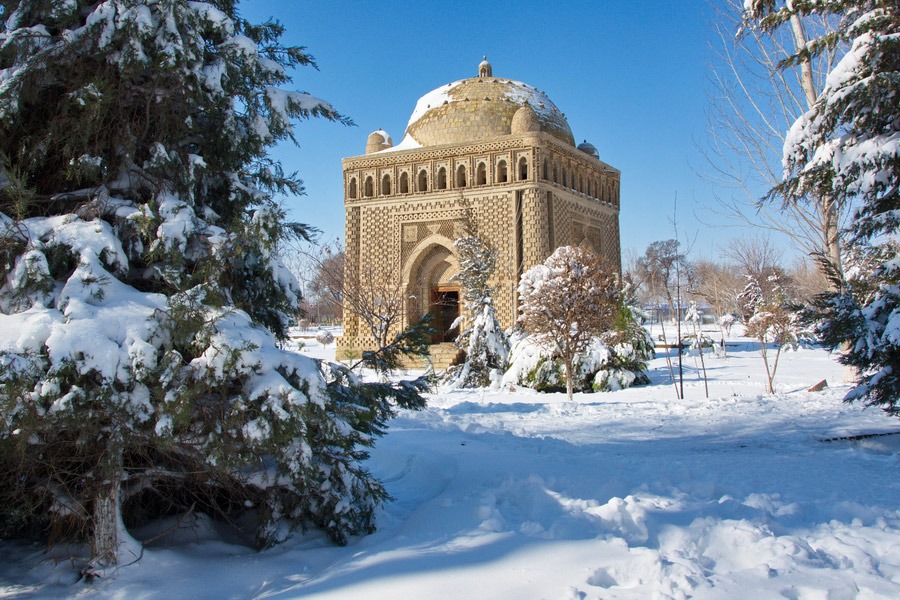 Отдых в Узбекистане зимой на Новый Год