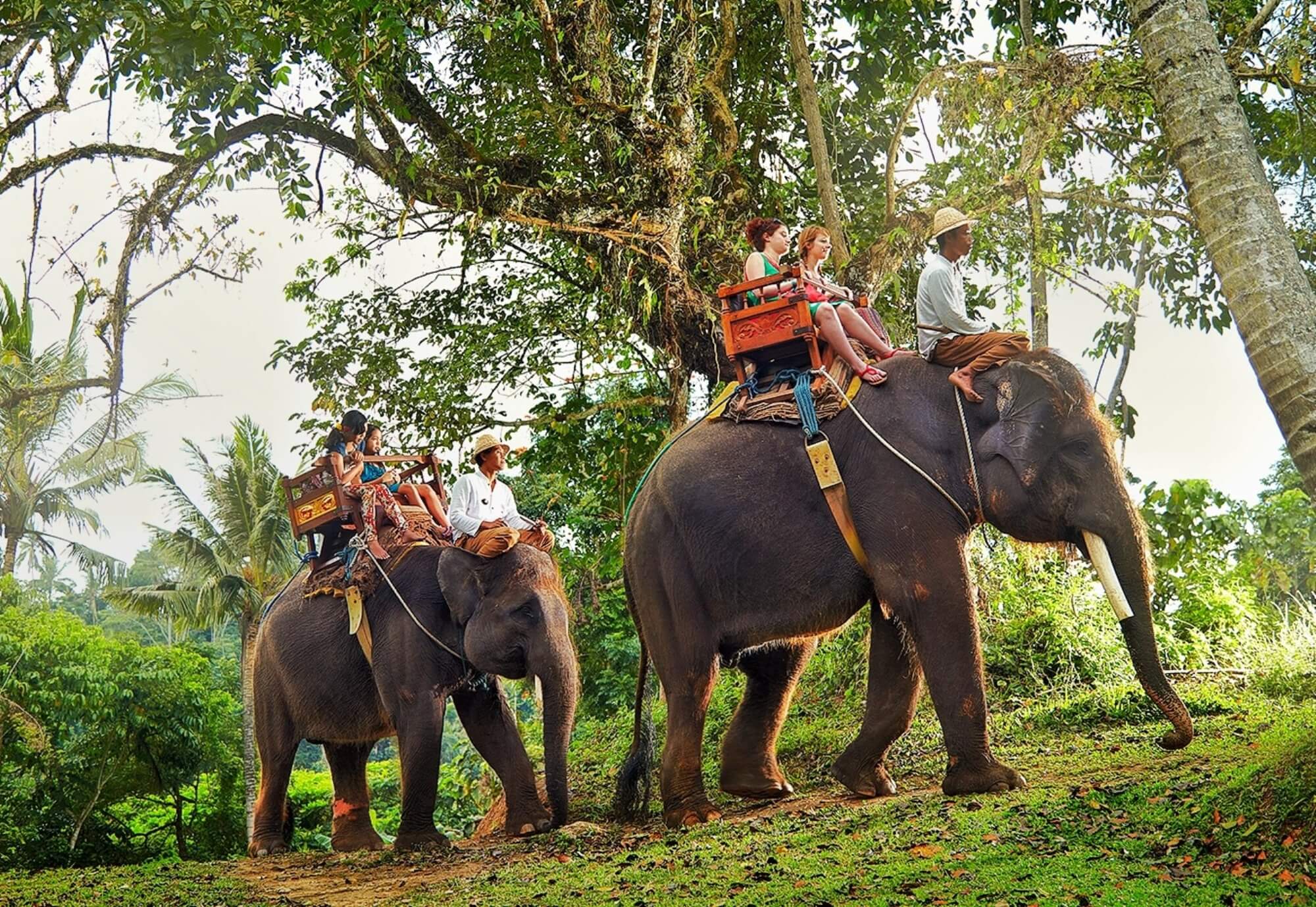 Туры в Шри Ланку